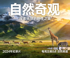 纪录片《自然奇观》海报，壮丽山川与野生动物