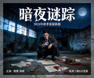 悬疑新剧《暗夜谜踪》海报，黑夜中侦探调查线索